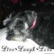 Lynn Charleton's photo