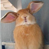 Wendy Wagoner's photo