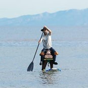 Zach Brown's photo
