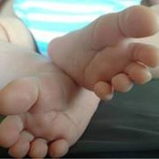 Foto von Traci Sodano Shultz