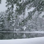 Karin Shallenberger's photo