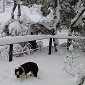 Heidi Negaard's photo