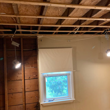 Water mitigation boston
