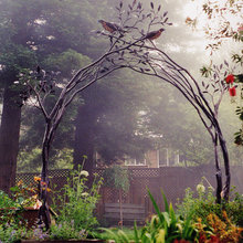 Trellis's