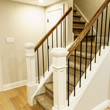 Basement Renovation