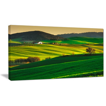 Trees and Farmland Near Volterra, Extra Large Landscape Canvas Art, 32"x16"