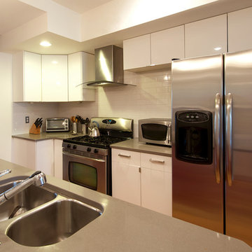 Bohemian Modern Eco-Friendly DC Row House