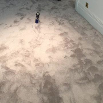 Natural Elements Silkresse carpet to Rooms