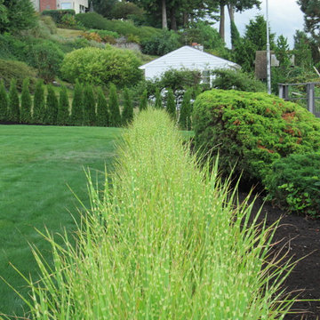 Landscape Installation-Des Moines