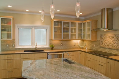 Inspiration for a modern kitchen remodel in Other