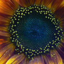 My Photography - Artwork