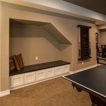 Colorado Entertainment Basement