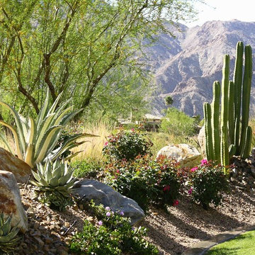 Pool, Spa, Deck and Landscape Remodel