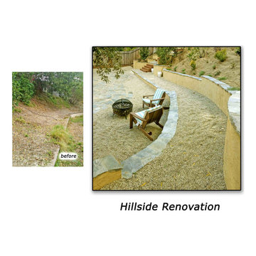 Water-wise Lawn Alternatives
