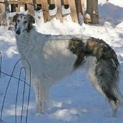 Amy Novotny's photo