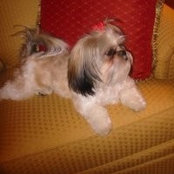 Gail Condras foto