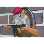 Curtis Mueller's photo
