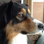 Susan McDowell's photo
