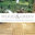 Wood & Green Ltd