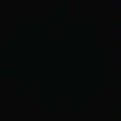 Jan Ongaro's photo