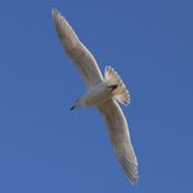 Pete Kuzmen's photo