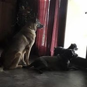 Annette Cortez's photo