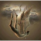Rana Khalil's photo