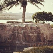 Suzi Brown's photo
