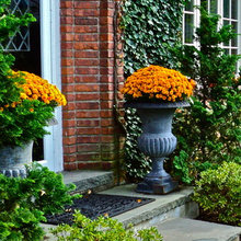 Potted Plants