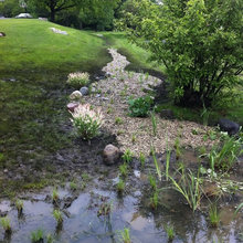 front yard drainage