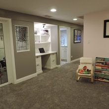Basement Remodel