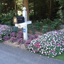 Landscape WOC 2020