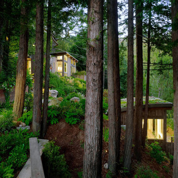 Mill Valley, Cabin Studio's