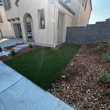 Front yard Remodel