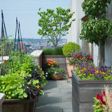 Gardens