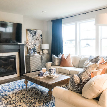 Rustic Glam Living Room