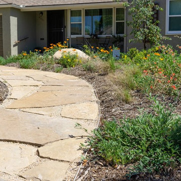 Front Yard Makeover