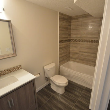 Sage Hill Basement