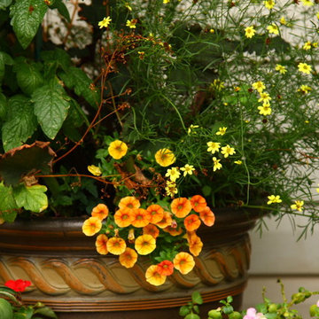 Flower Planters