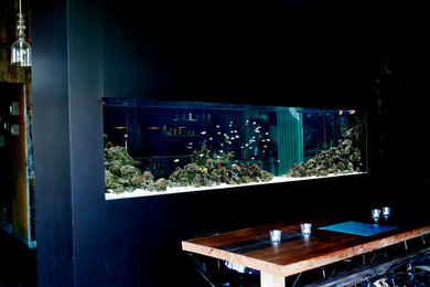 ADn saltwater aquarium at restaurant Lazuli - Estórias do Mar, Lisboa