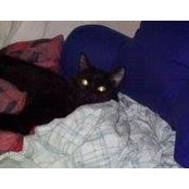 Marla Darley's photo