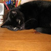 Dawn Troglin's photo