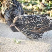 Michelle Robertson's photo