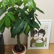 Mayu Ohtaさんの写真