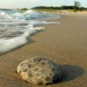 Meagan Sennett's photo
