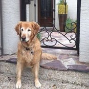Rita Parscale's photo