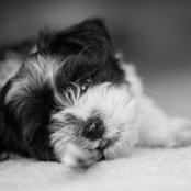 Ryan H's photo