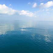 Foto von Michael Varga