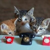 Katie Kempthorne's photo