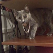 Susan Andric's photo